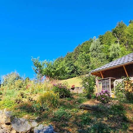 Chambre D'Hotes L'Aire Du Temps Savoyard Ugine Buitenkant foto