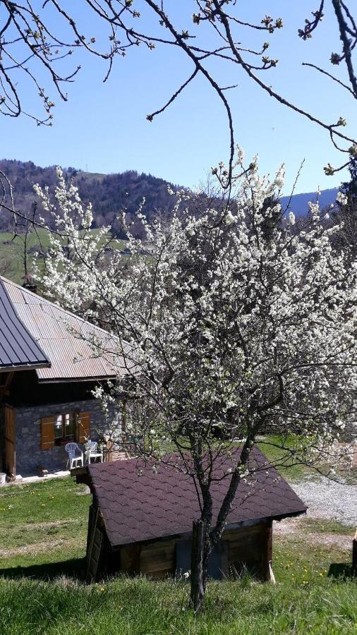 Chambre D'Hotes L'Aire Du Temps Savoyard Ugine Buitenkant foto